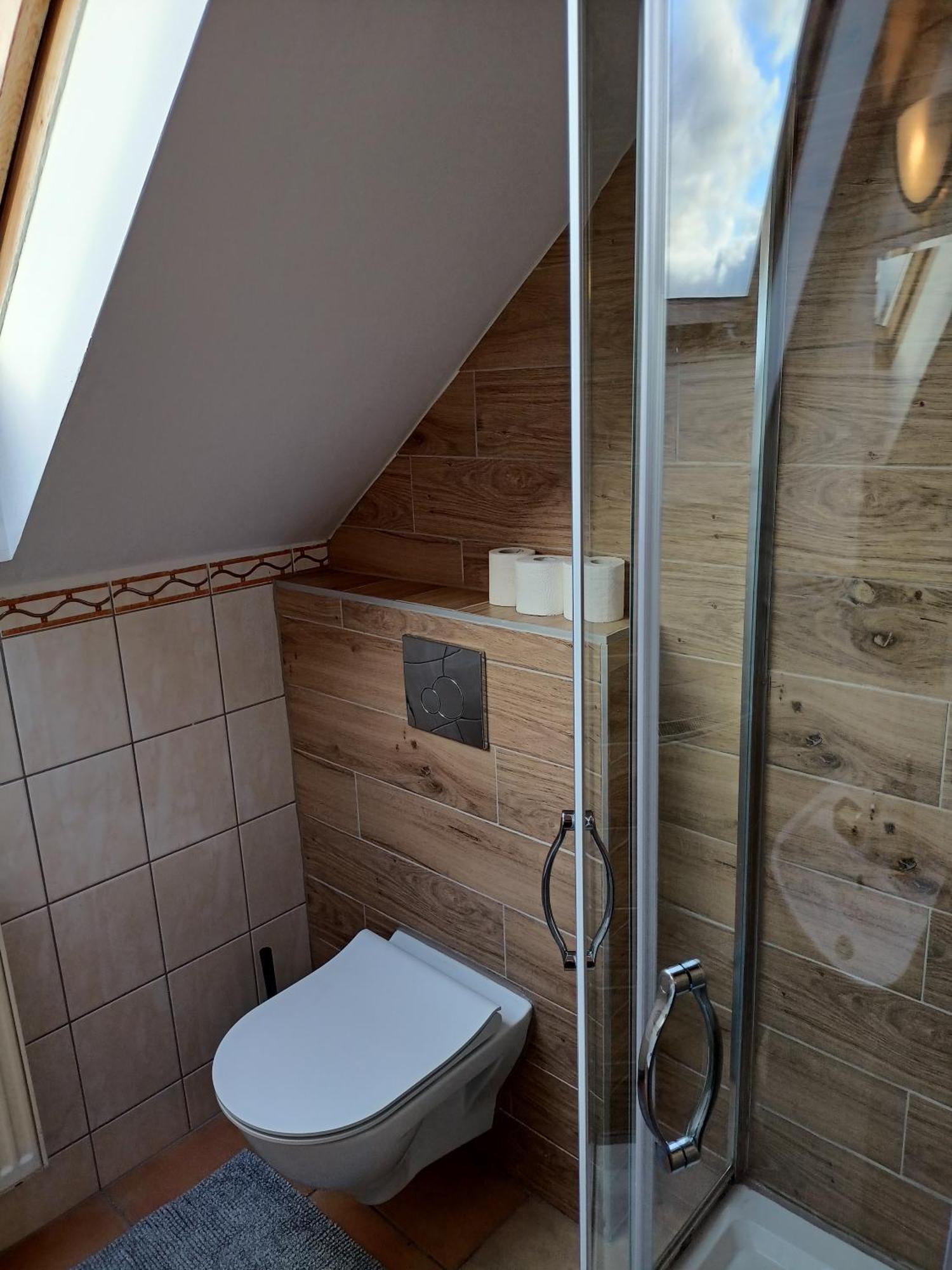 Anna Apartment Czarny Mlyn Room photo